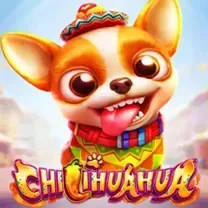 Os Melhores Cassinos Online Com Dinheiro Real